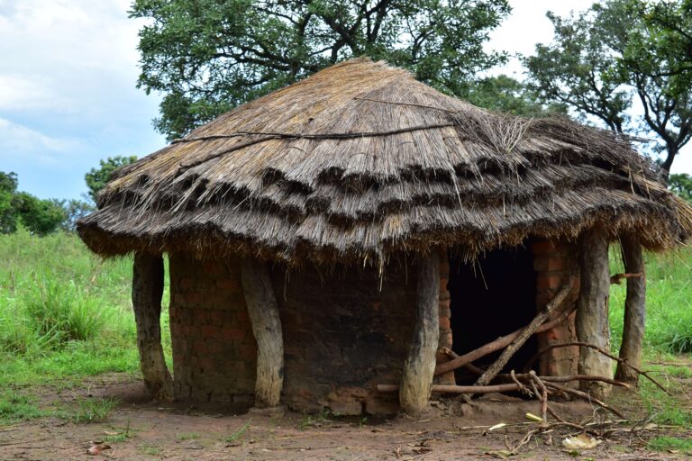 Wiara w juju i rytualne zbrodnie. Jak przeciwdziałać takim praktykom?