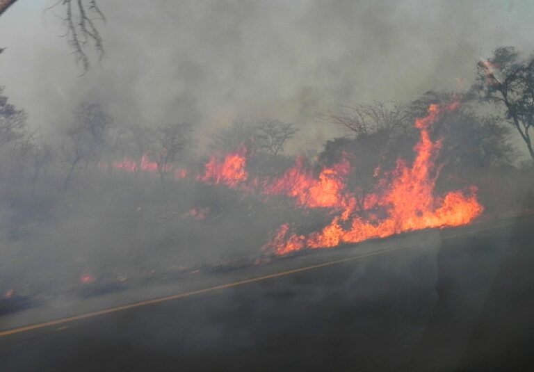 Szokujący raport ONZ na temat sytuacji w Sudanie. Ludzie w torturowani i zabijani w „rzeźniach” przez obie strony konfliktu
