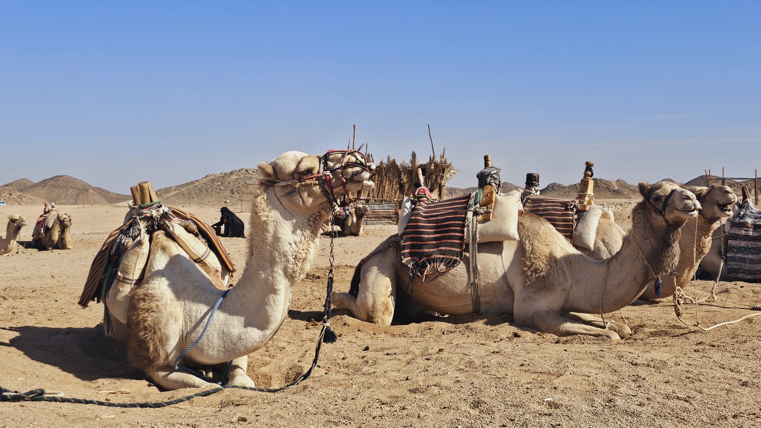 Fot. Krzysztof Błażyca